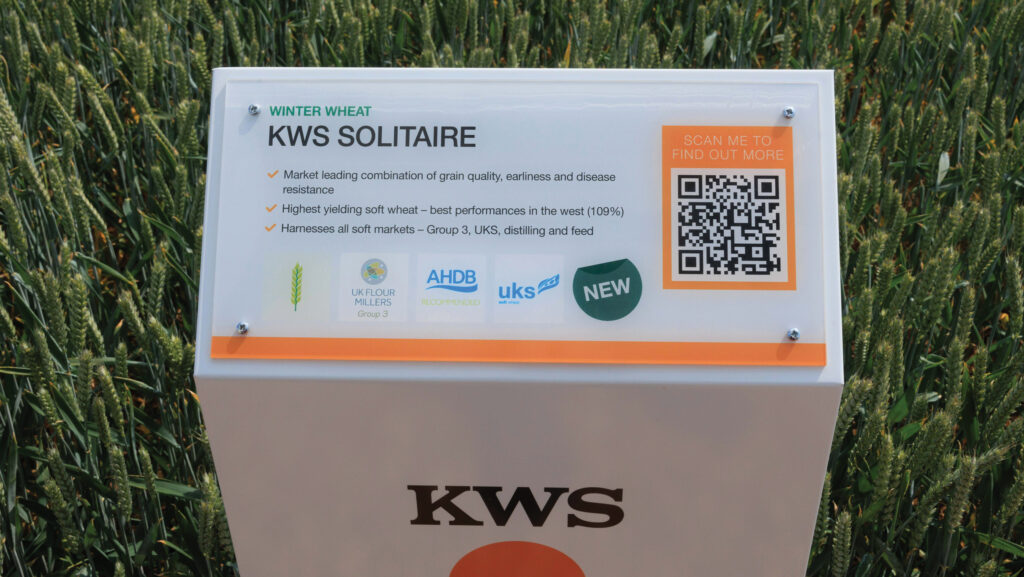 Solitaire winter wheat variety © Tim Scrivener
