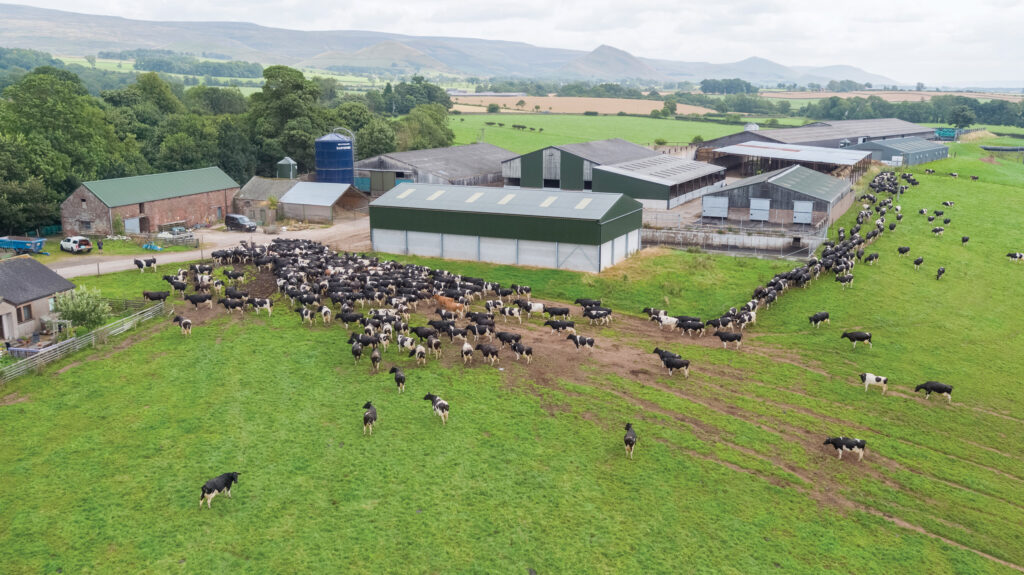 Drone view of farm and livestock