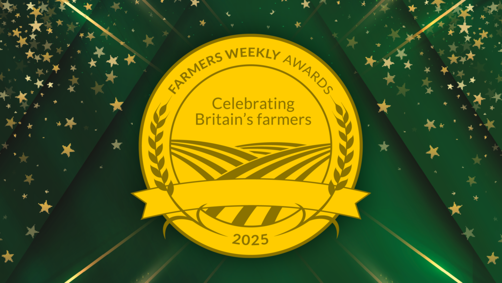 An Awards plaque on a green sparkly background