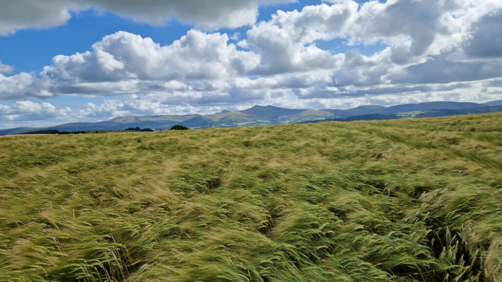 Scene in Pontfaen, Brecon