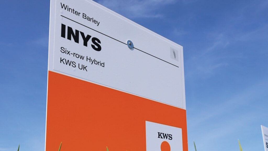 six-row hybrid Inys