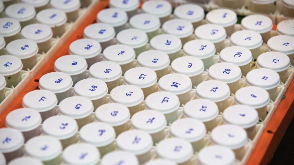 Numbered sample jars for milk recording