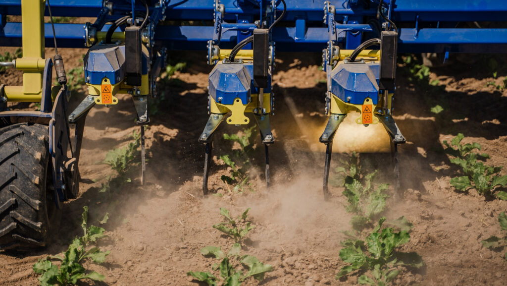 Newman AI weeder in sugar beet crops