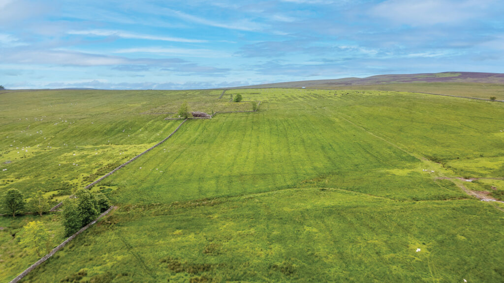 Aerial view of grassland