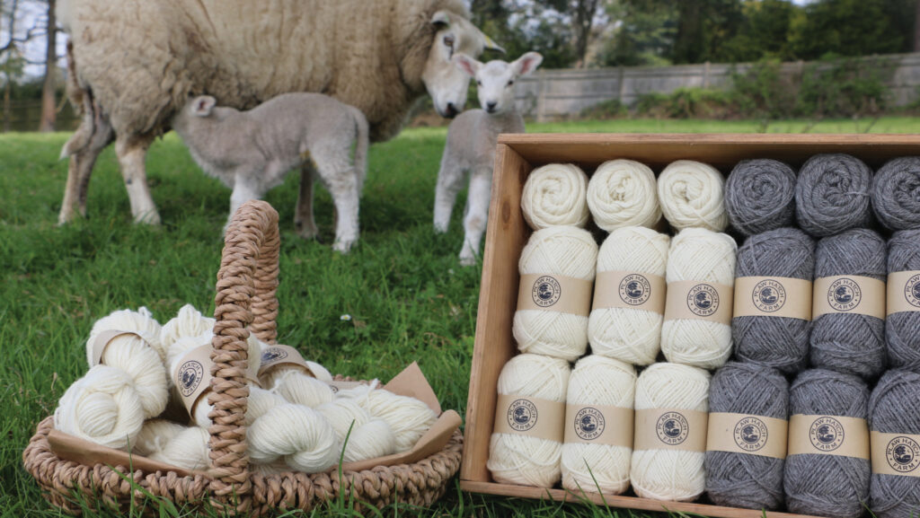 Sheep and basket of wool fro Plaw Hatch Farm
