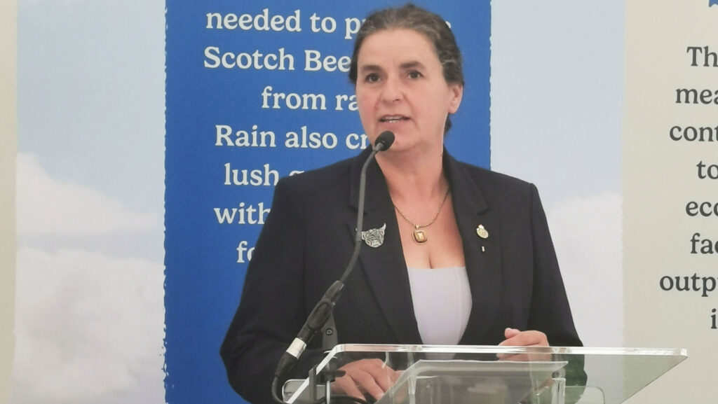 QMS chairman Kate Rowell