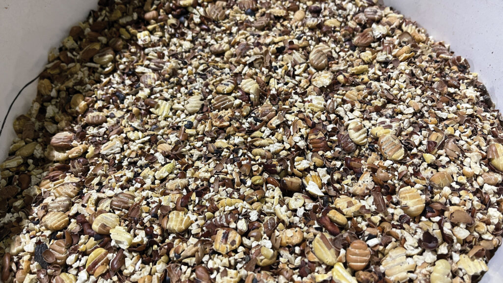Roasted rolled beans