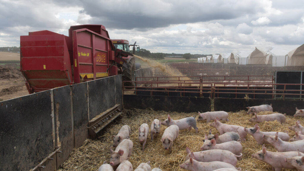 Straw chopper being used