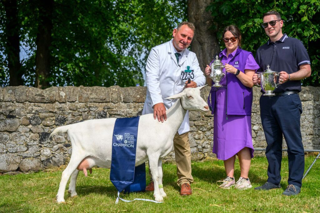 Two people posing with a goat