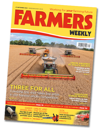 Harvest 2024 photo winner
