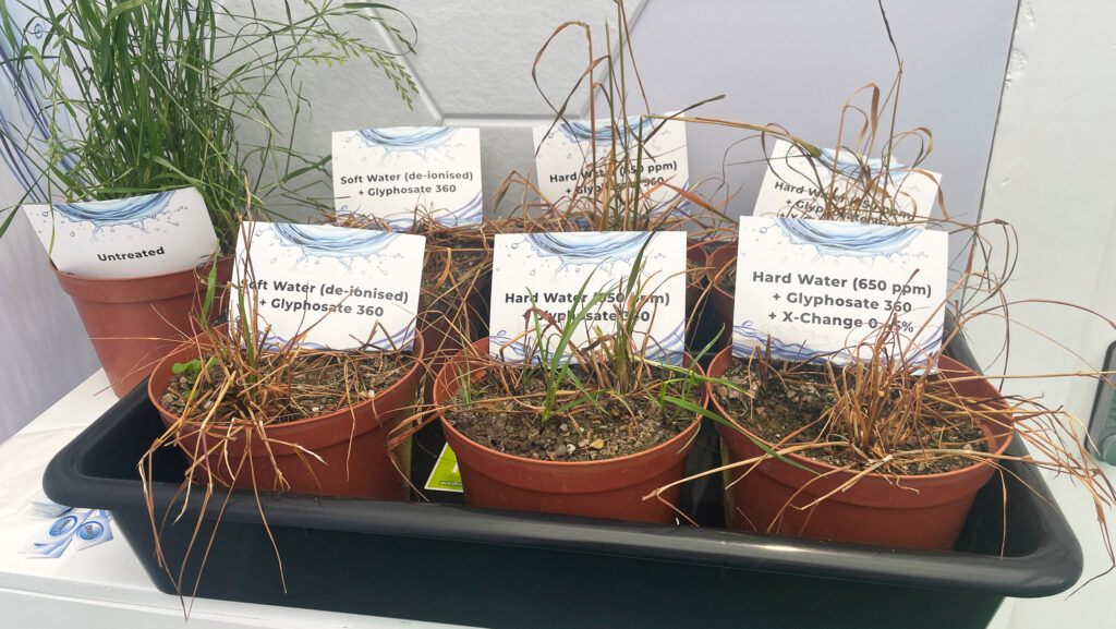Trial tested Italian ryegrass plants treated with glyphosate with and without a water conditioner © MAG/Richard Allison