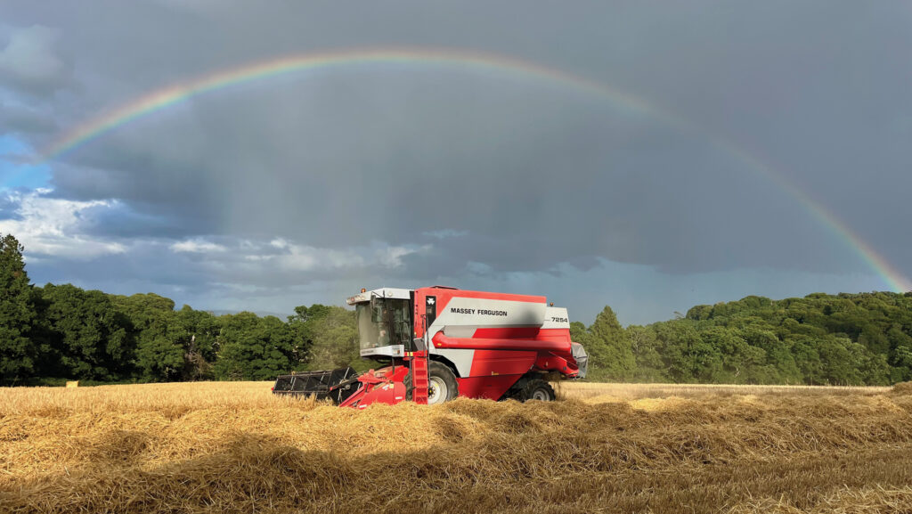 Rainbow over field during harvest