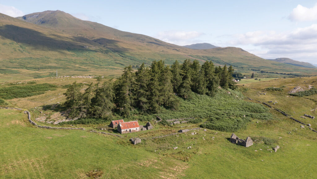 Carie © savills