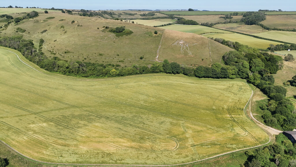 Farmland adjoining iconic landmark for sale in Dorset