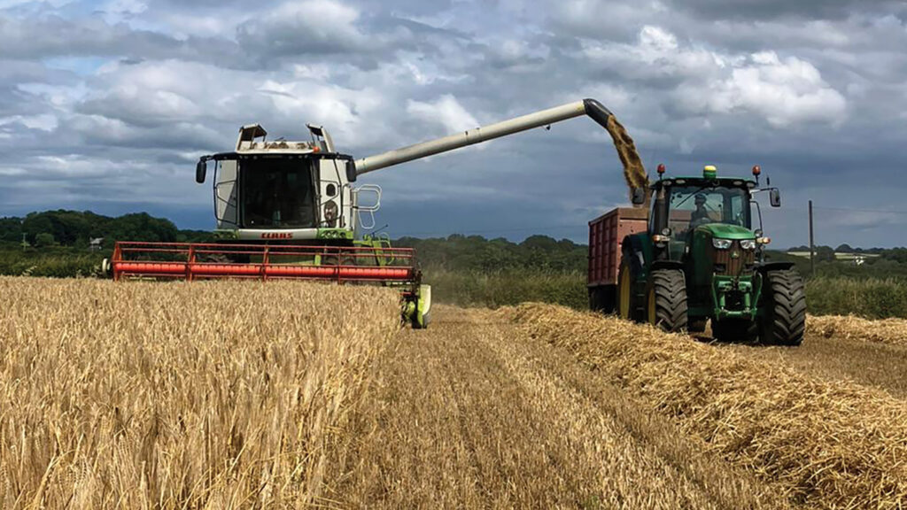 Harvest 2025: OSR yields variable but good oil levels