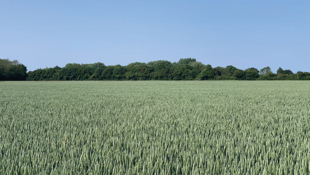 Land at Laxfield