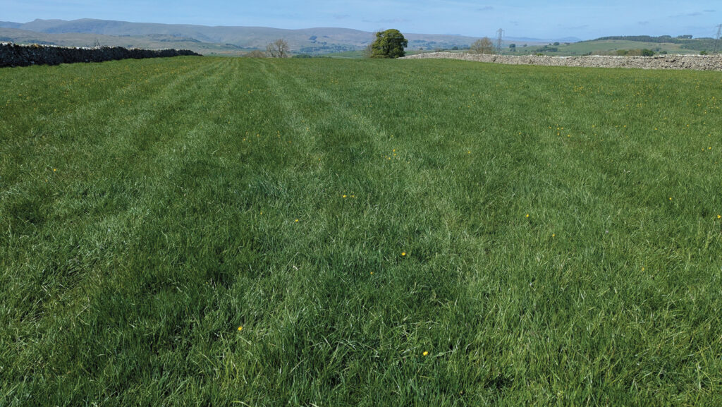 Land at Shap