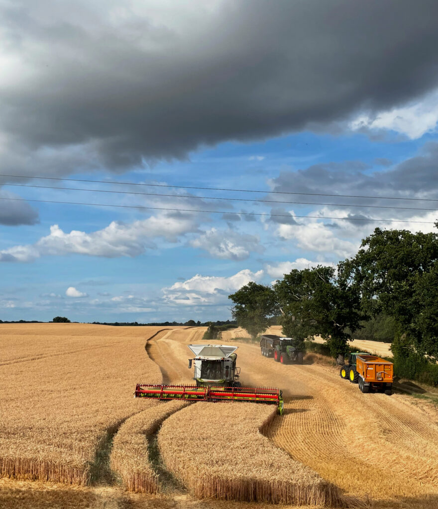 Wheat harvest at Lea Hall Farm