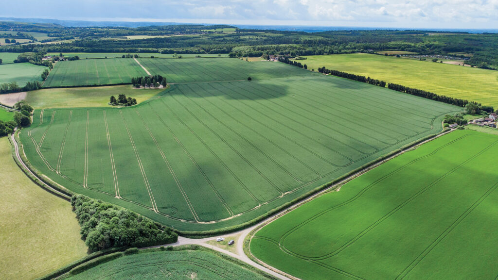 Newlands Farm