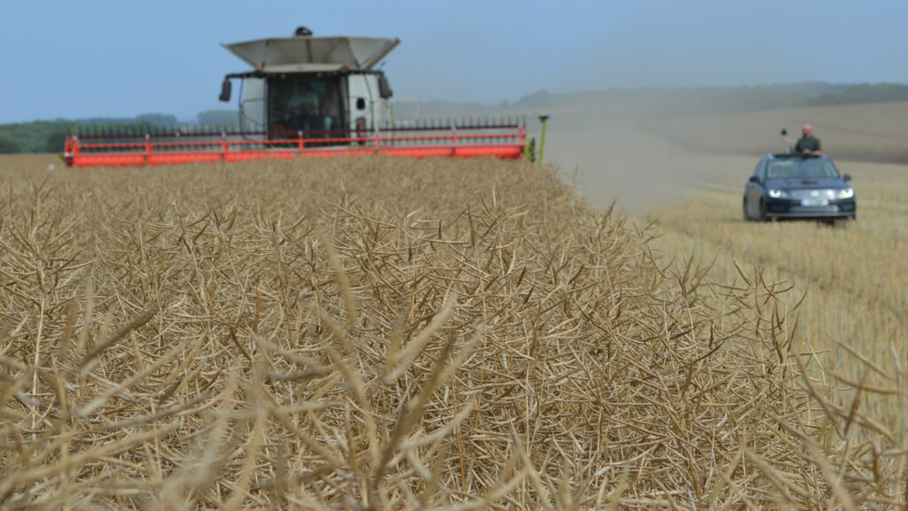 OSR harvesting