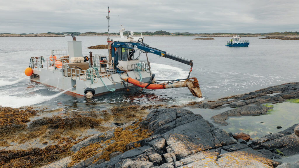 seaweed harvest