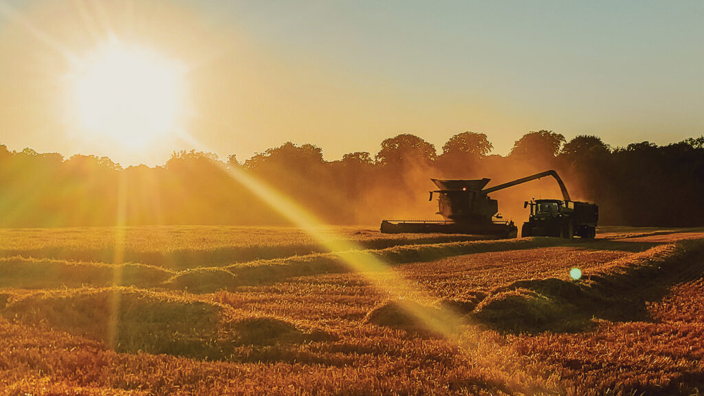 Sunlight streaming over field during harvesting