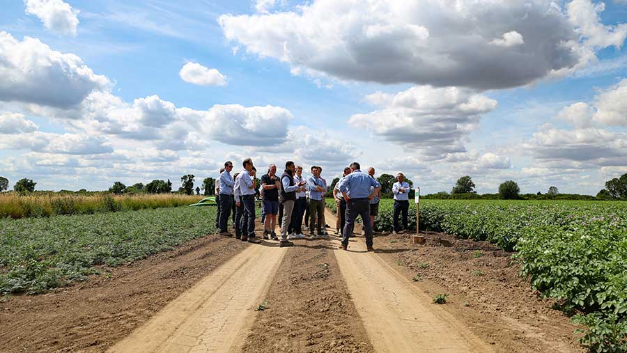 Group of people stood in field