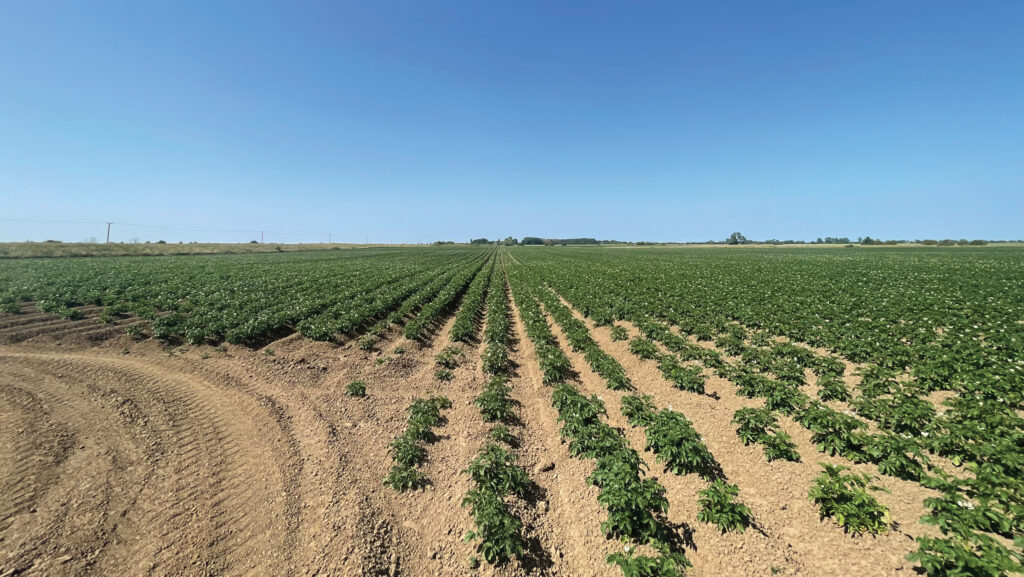 Land at Gosberton and Surfleet Fen Farm, Lincolnshire