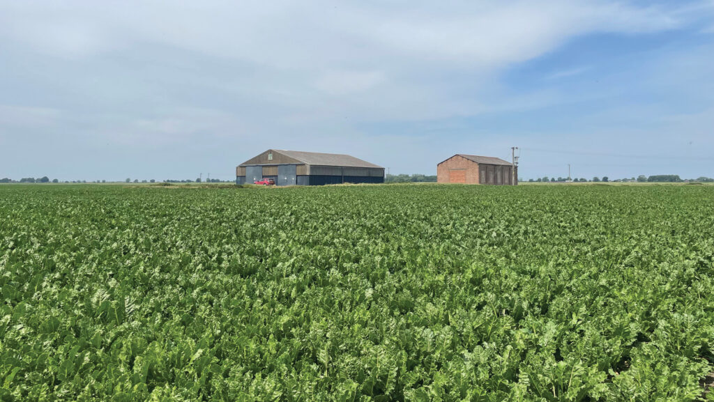 Land near March, Cambridgeshire