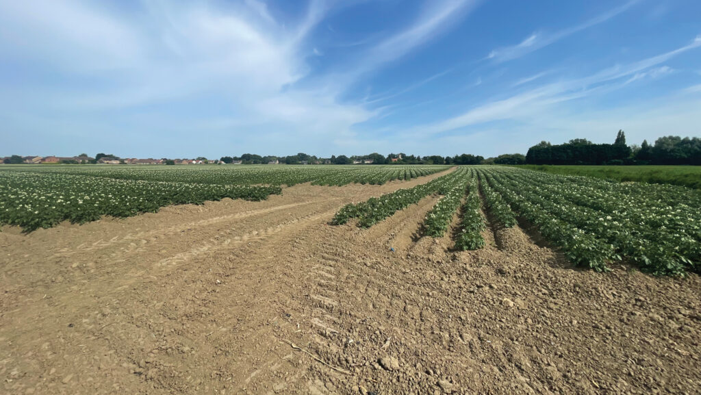 Land in and around Upwell, Cambridgeshire
