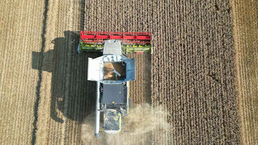 © Syngenta