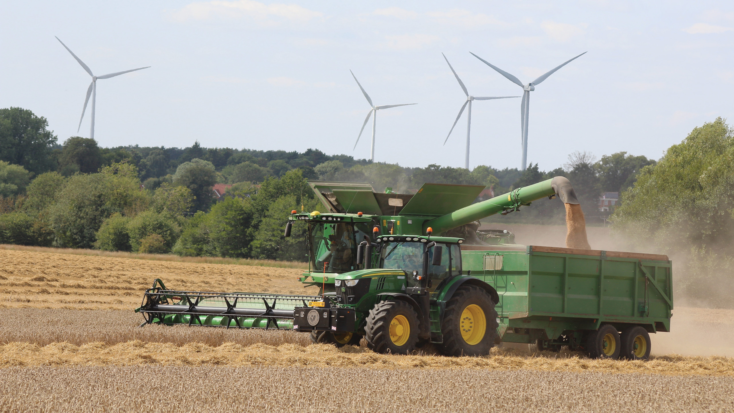 A combine brings in the winter wheat as wind turbines turn in the background