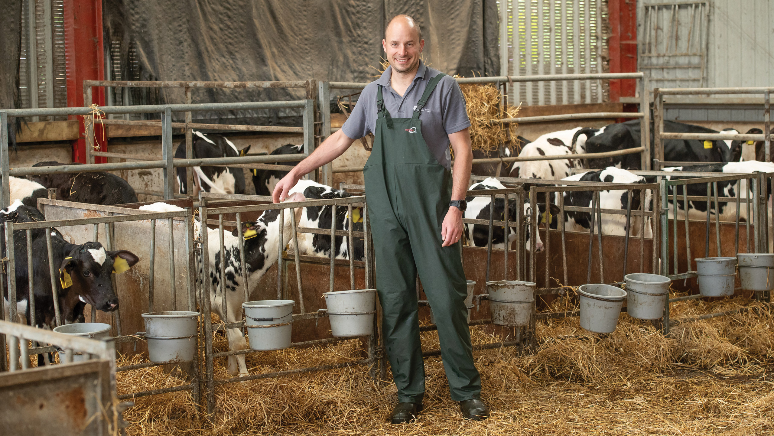Vet standing in a shed with calves