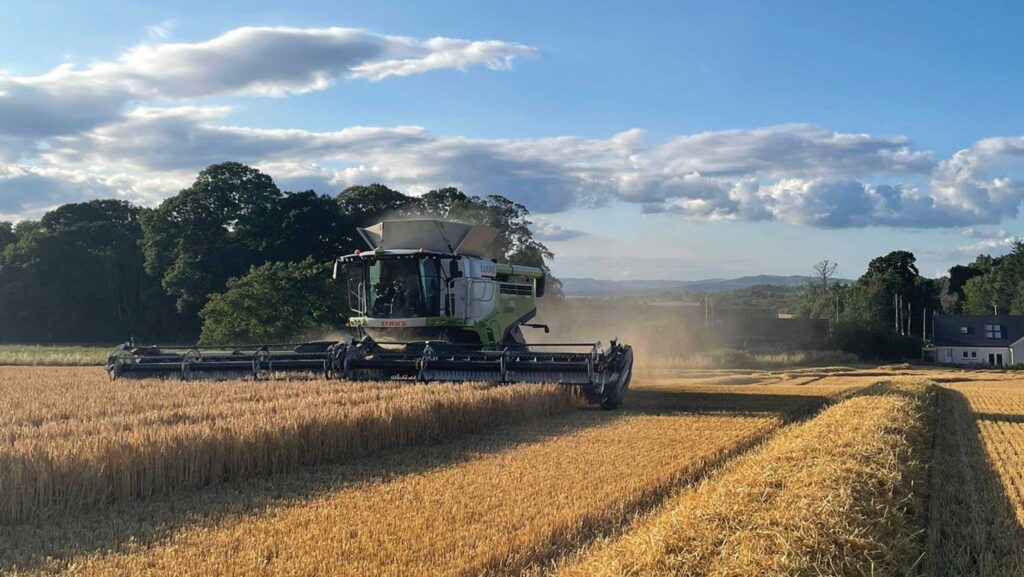 Barley harvest