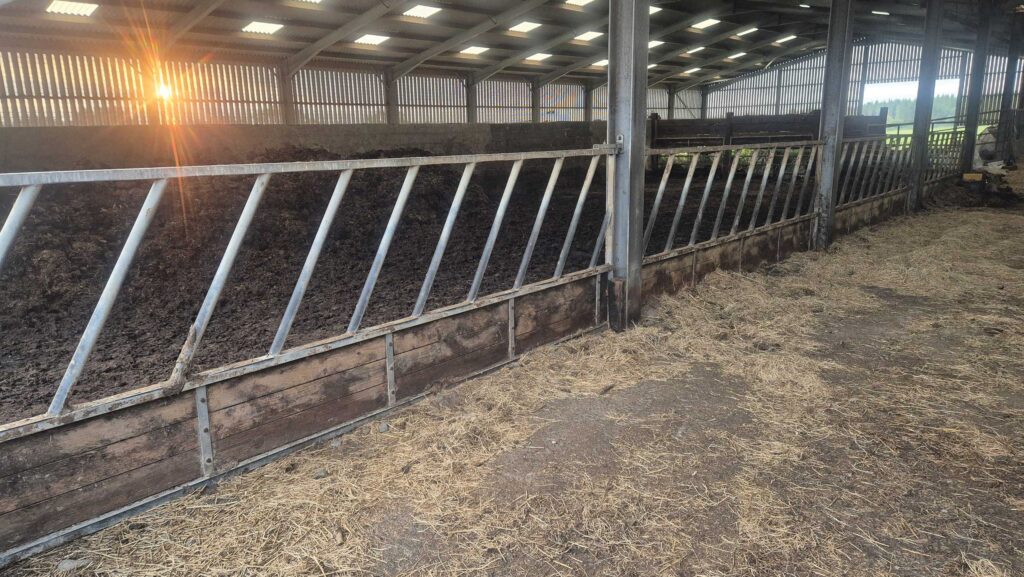 Raised cattle feed rail