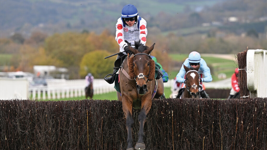 Jockey Freddie Gingell