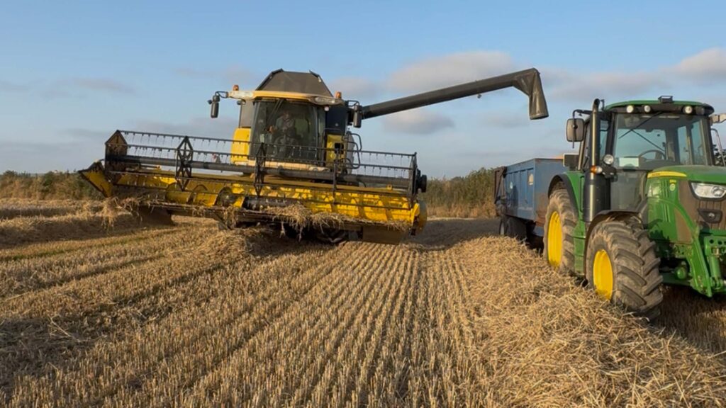 Andrew Tamblyn's harvest near Liskeard in Cornwall © Ruth Wills