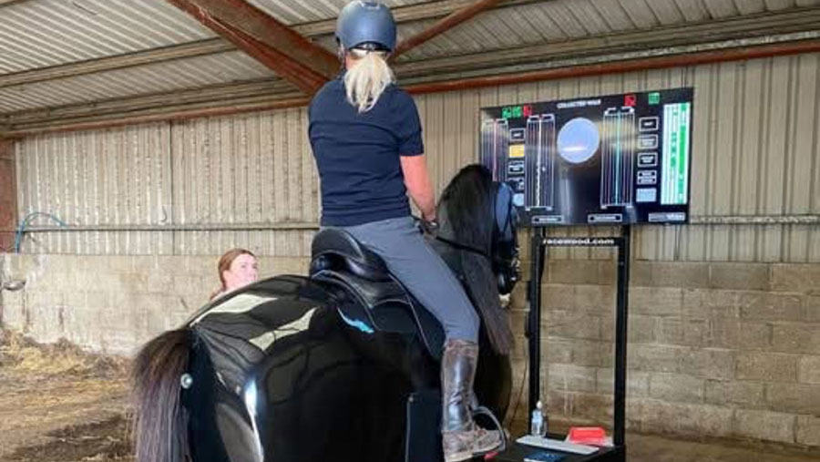 Person sat on mechanical horse