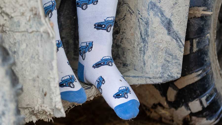 CountryMoos socks with car design