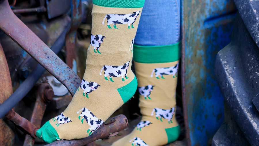 CountryMoos socks with cow design