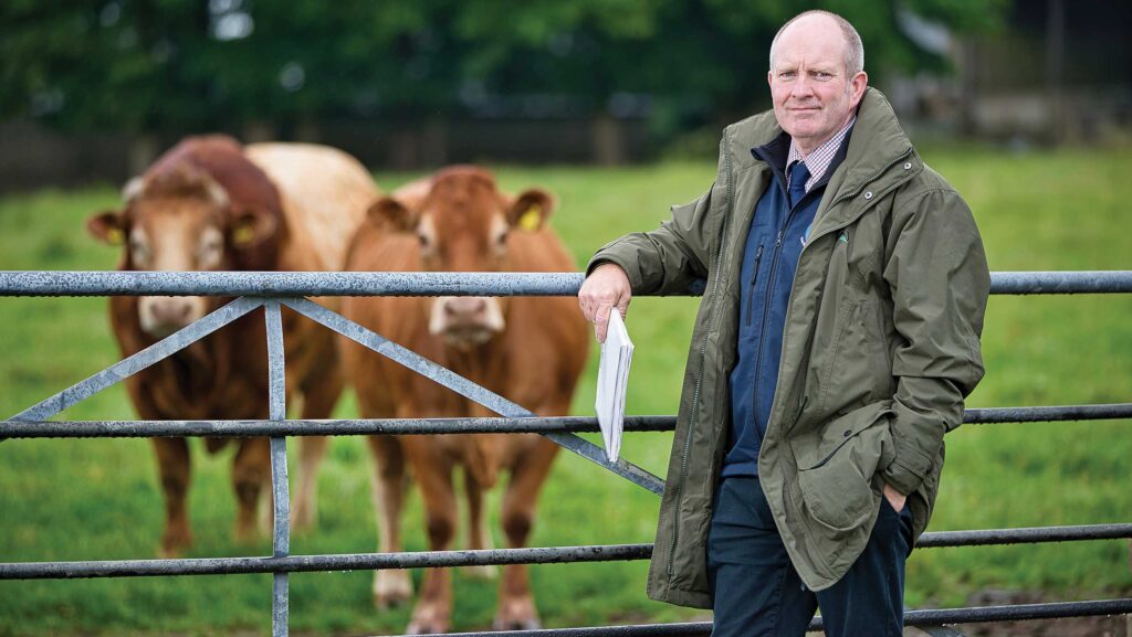 Beef farmer Jonathan Crimes with cattle