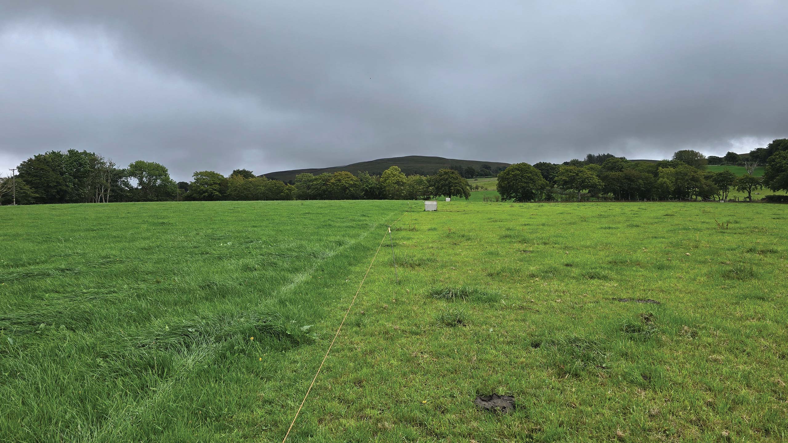 Paddock grazing with an electric fence