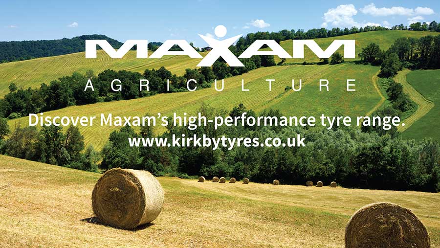 Maxam graphic