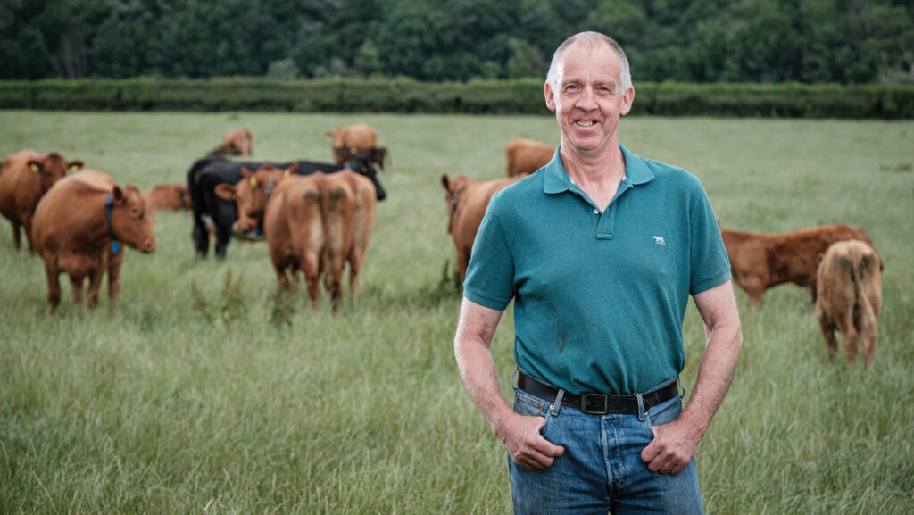 Mike Powley with cows