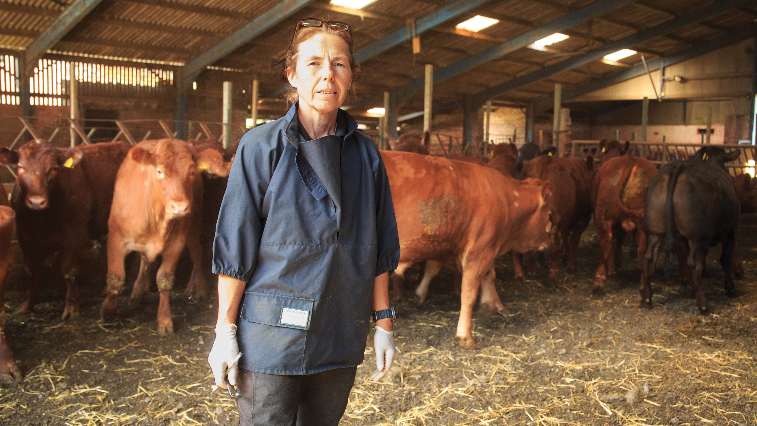 Farm vet standing in a shed