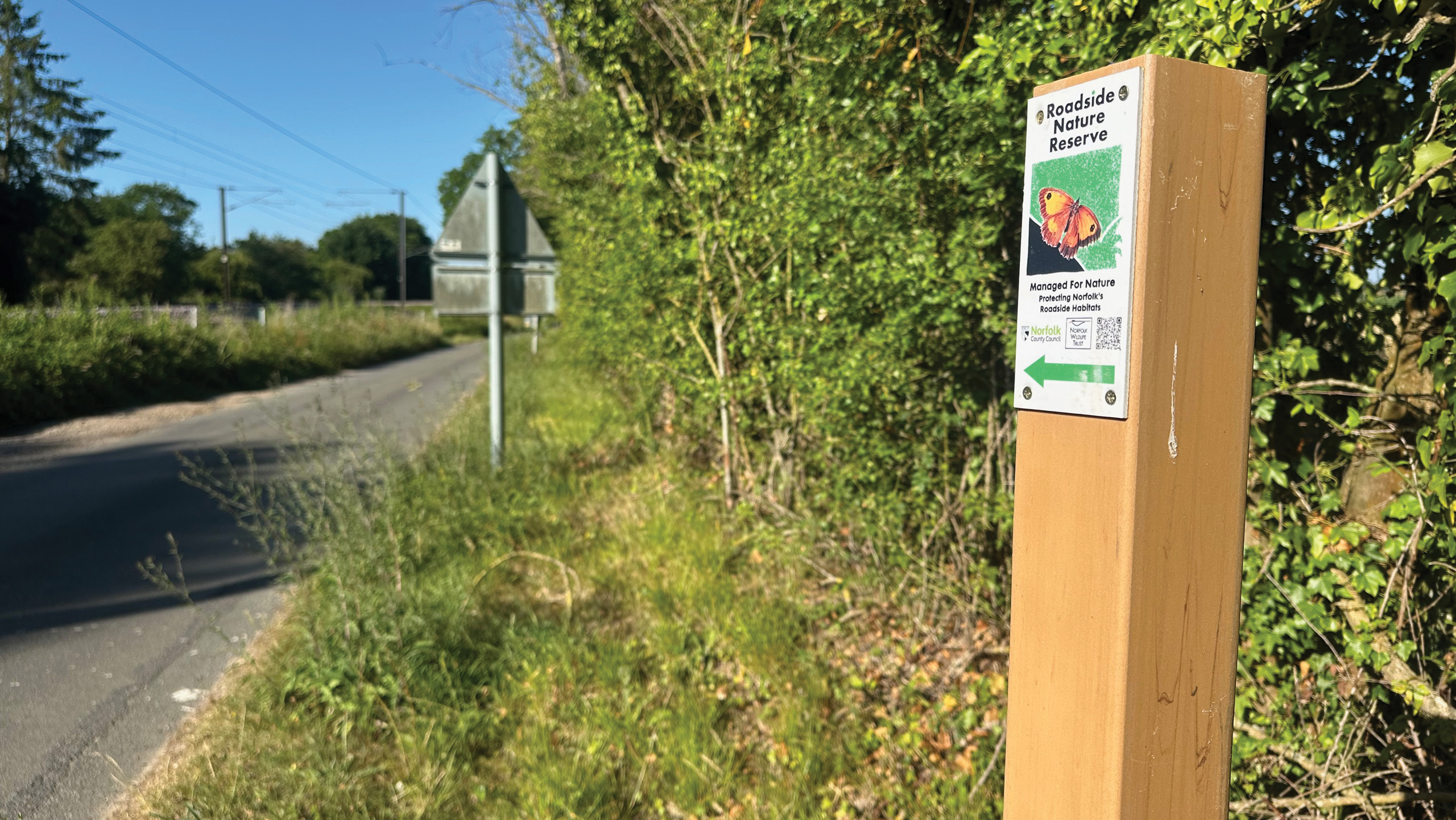 Information signpost on a roadside verge