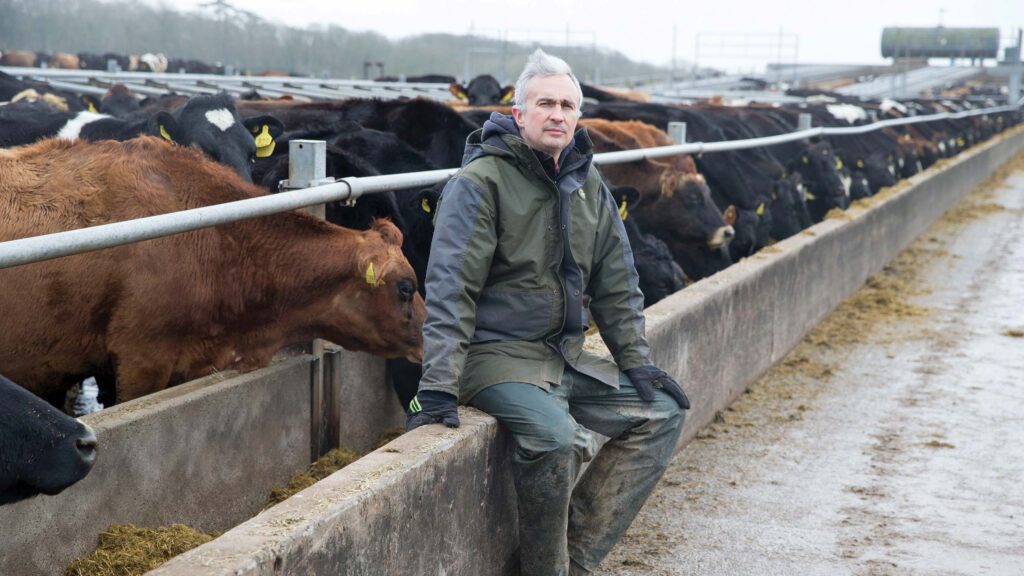 Farmer in front of an outdoor cattle pen