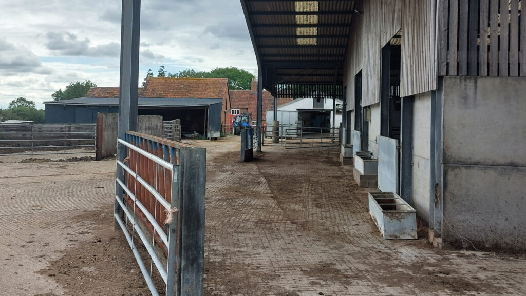 Cow cubicles