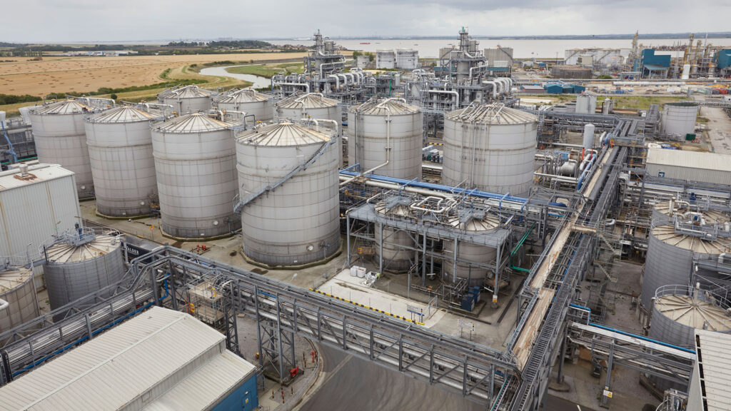 Vivergo plant © Les Gibbon