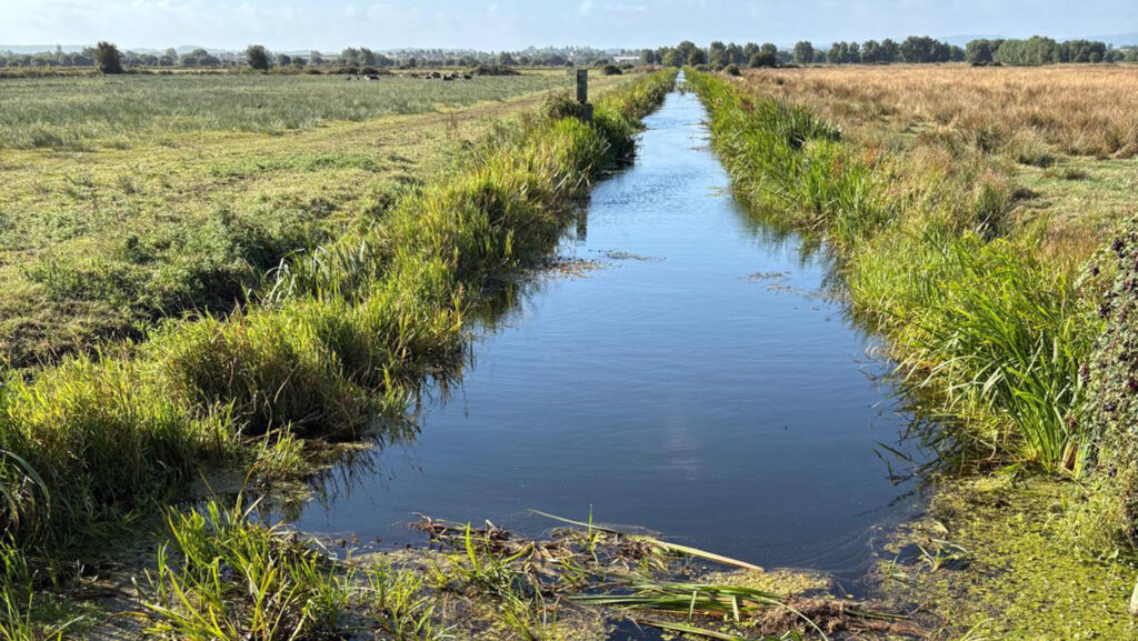 The watercourse weeding up near James Winslade's farm © James Winslade